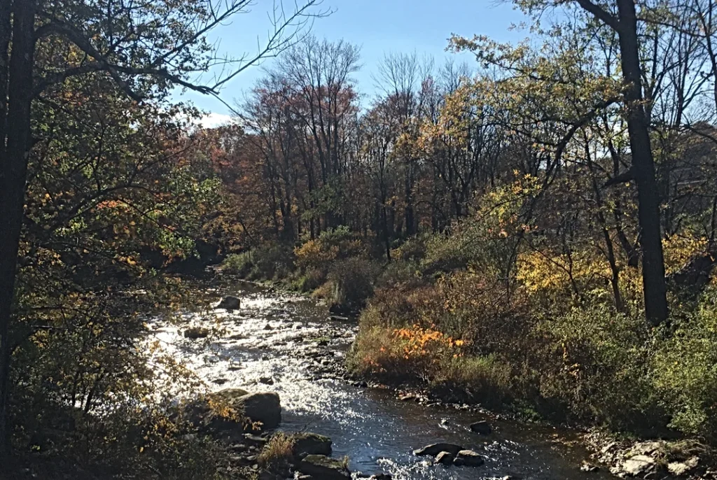 Lizard Creek