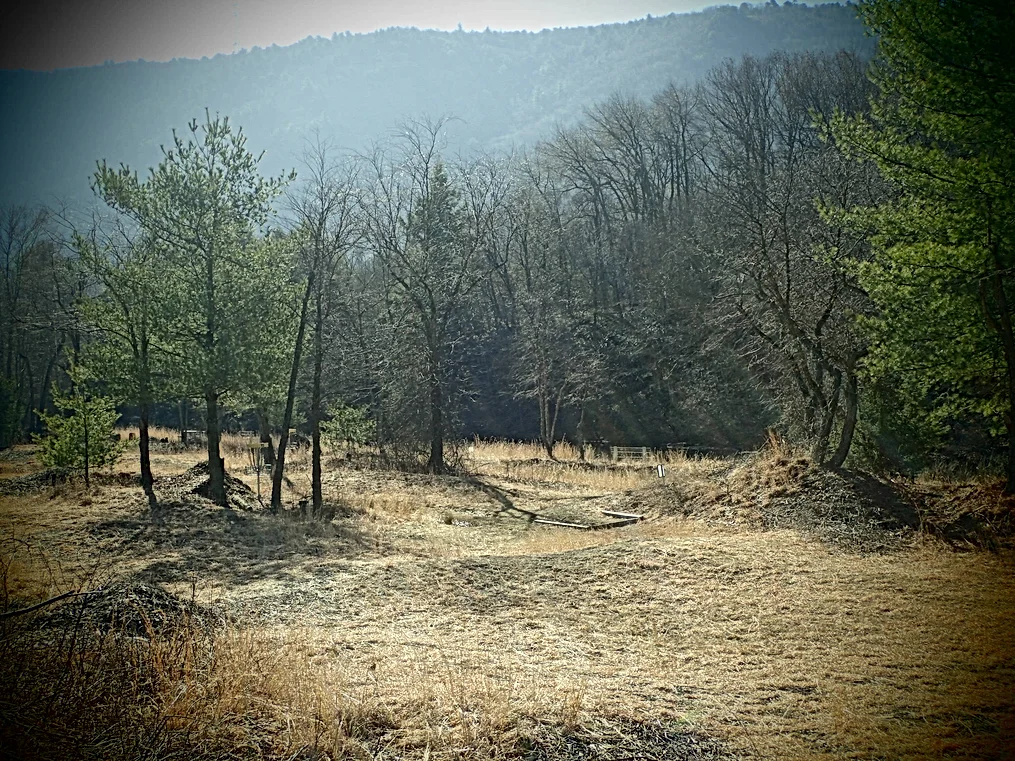 Mountainview Park
